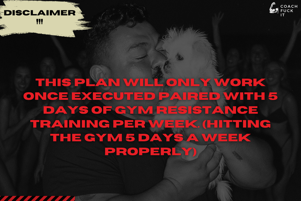 BVLKY - 4 Weeks Bulking Plan (Bulking + Muscle Mass Hypertrophy Diet)